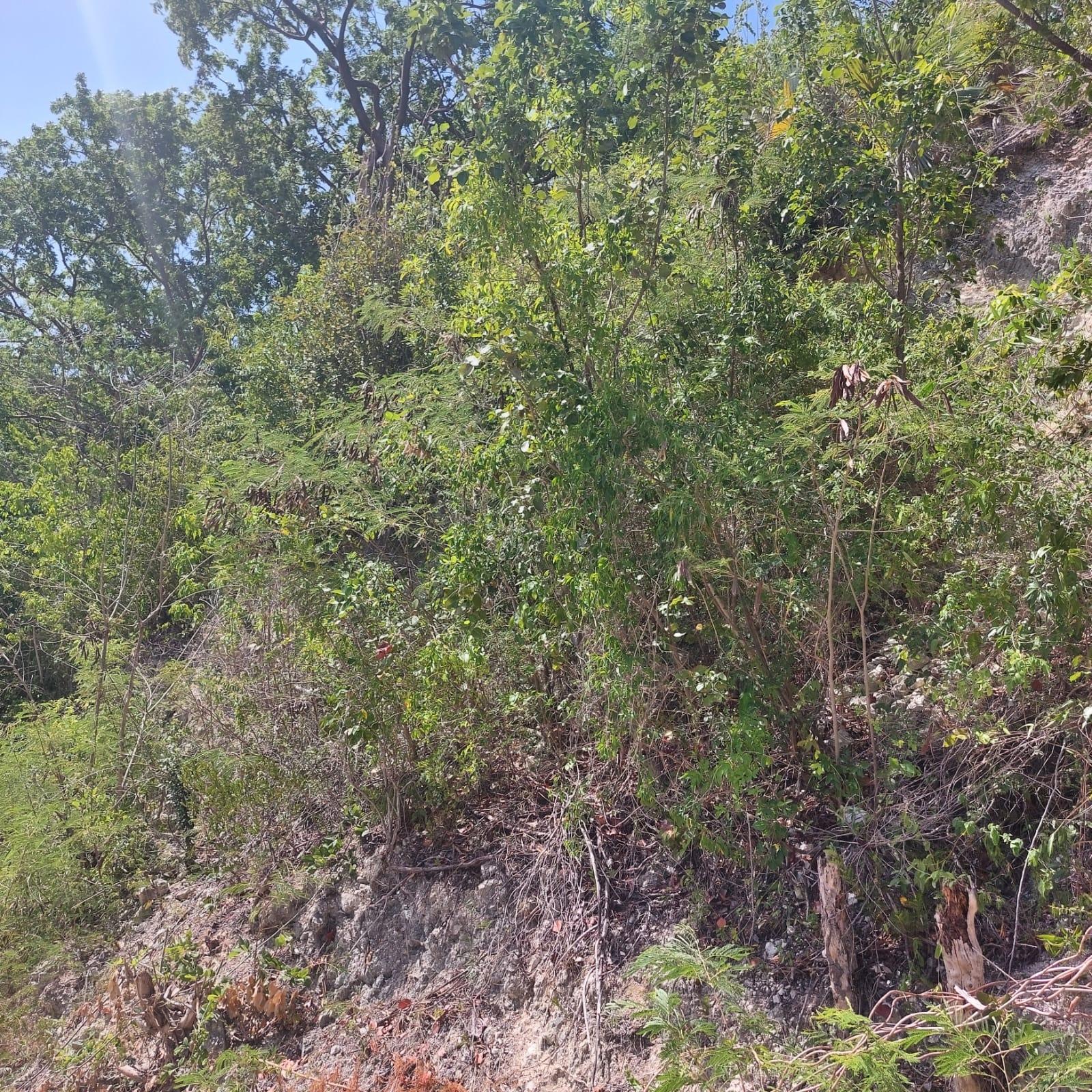 Eleventh image of 91- Santa Cruz Boulevard, st in Albion Estate, St. Thomas, Jamaica - property is For Sale