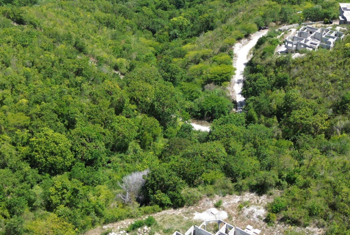 Third image of 91- Santa Cruz Boulevard, st in Albion Estate, St. Thomas, Jamaica - property is For Sale