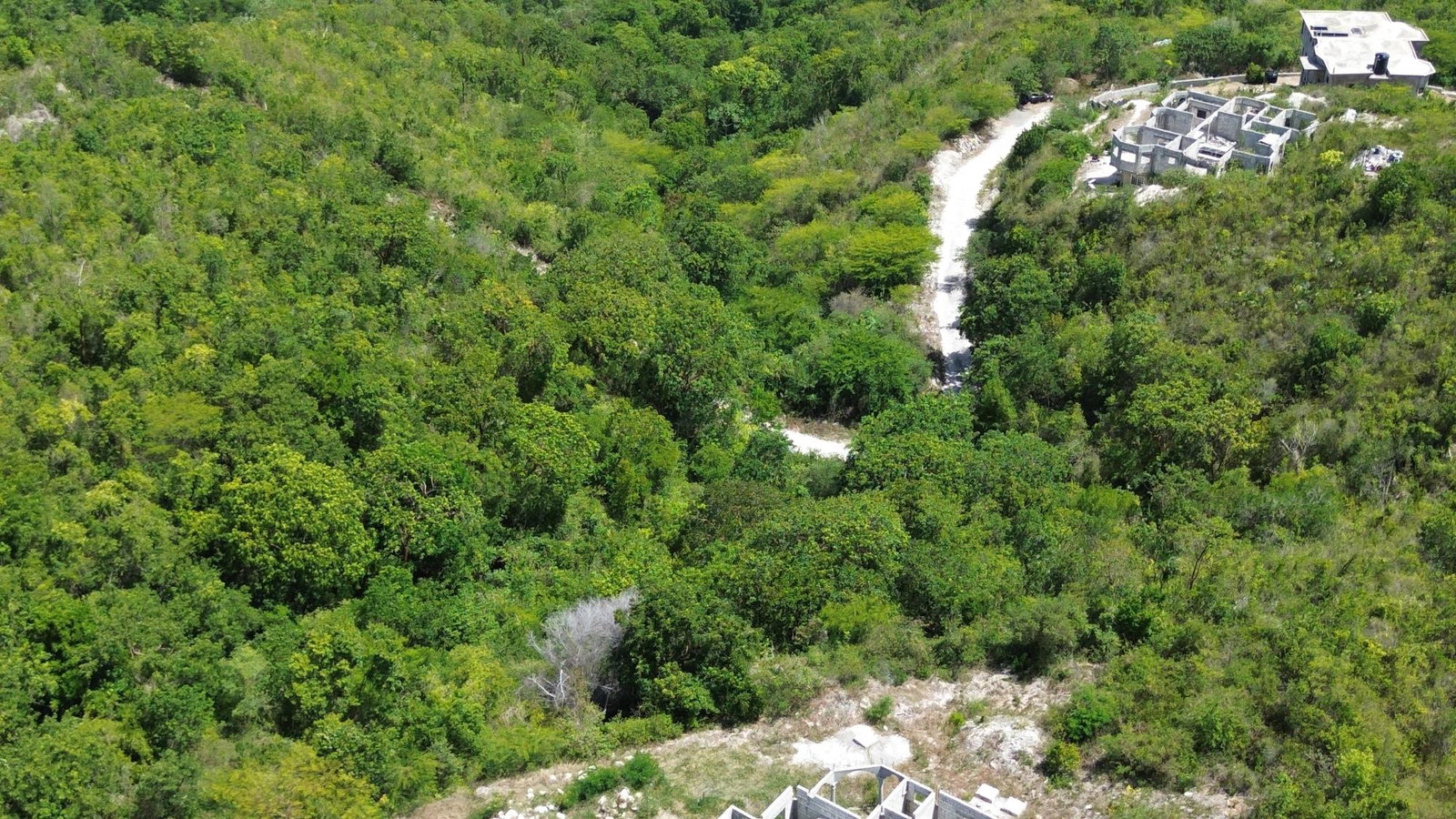 Third image of 91- Santa Cruz Boulevard, st in Albion Estate, St. Thomas, Jamaica - property is For Sale