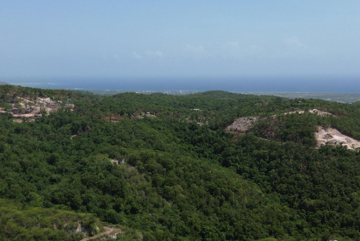 Fourth image of 91- Santa Cruz Boulevard, st in Albion Estate, St. Thomas, Jamaica - property is For Sale