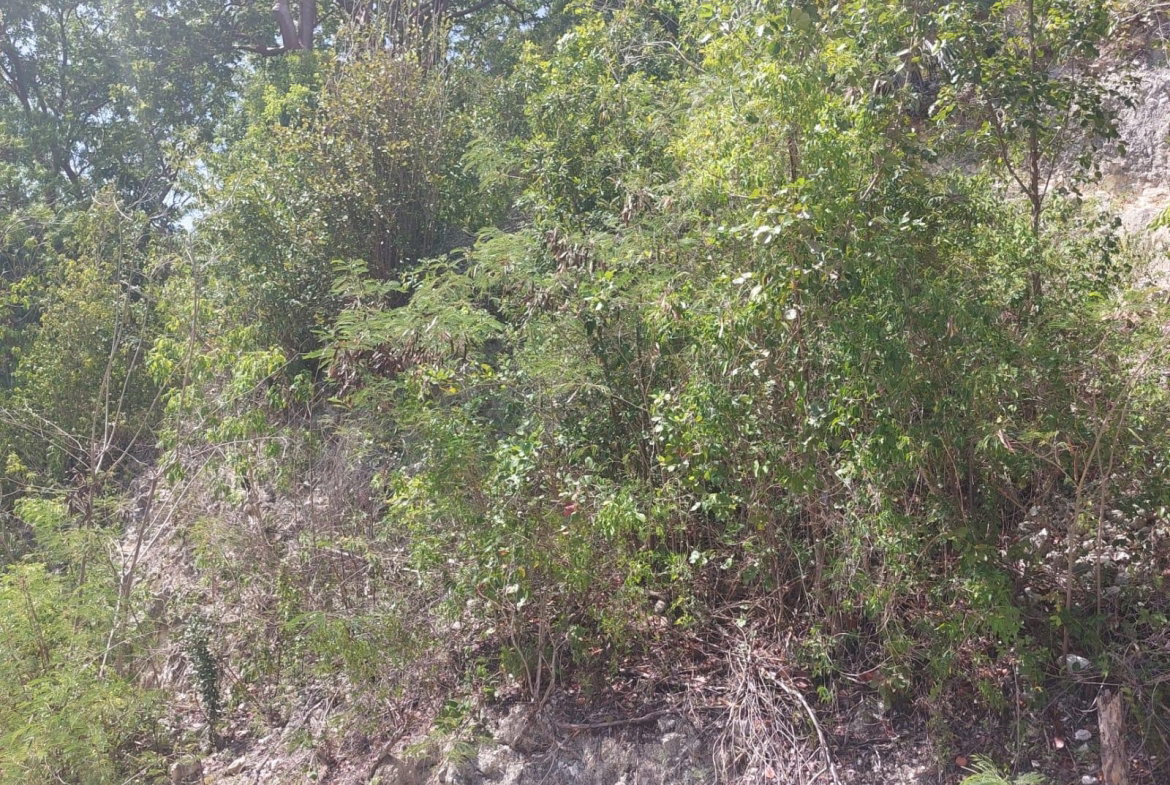 Ninth image of 91- Santa Cruz Boulevard, st in Albion Estate, St. Thomas, Jamaica - property is For Sale