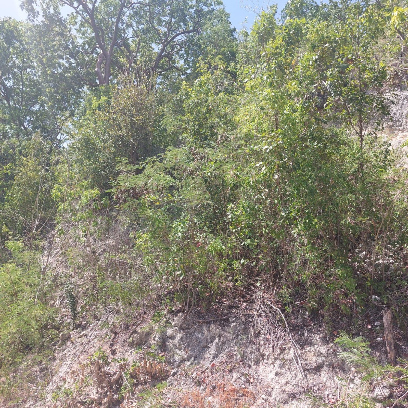Ninth image of 91- Santa Cruz Boulevard, st in Albion Estate, St. Thomas, Jamaica - property is For Sale