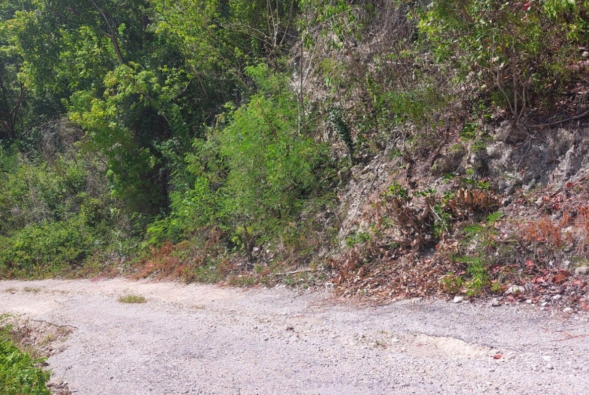 Tenth image of 91- Santa Cruz Boulevard, st in Albion Estate, St. Thomas, Jamaica - property is For Sale