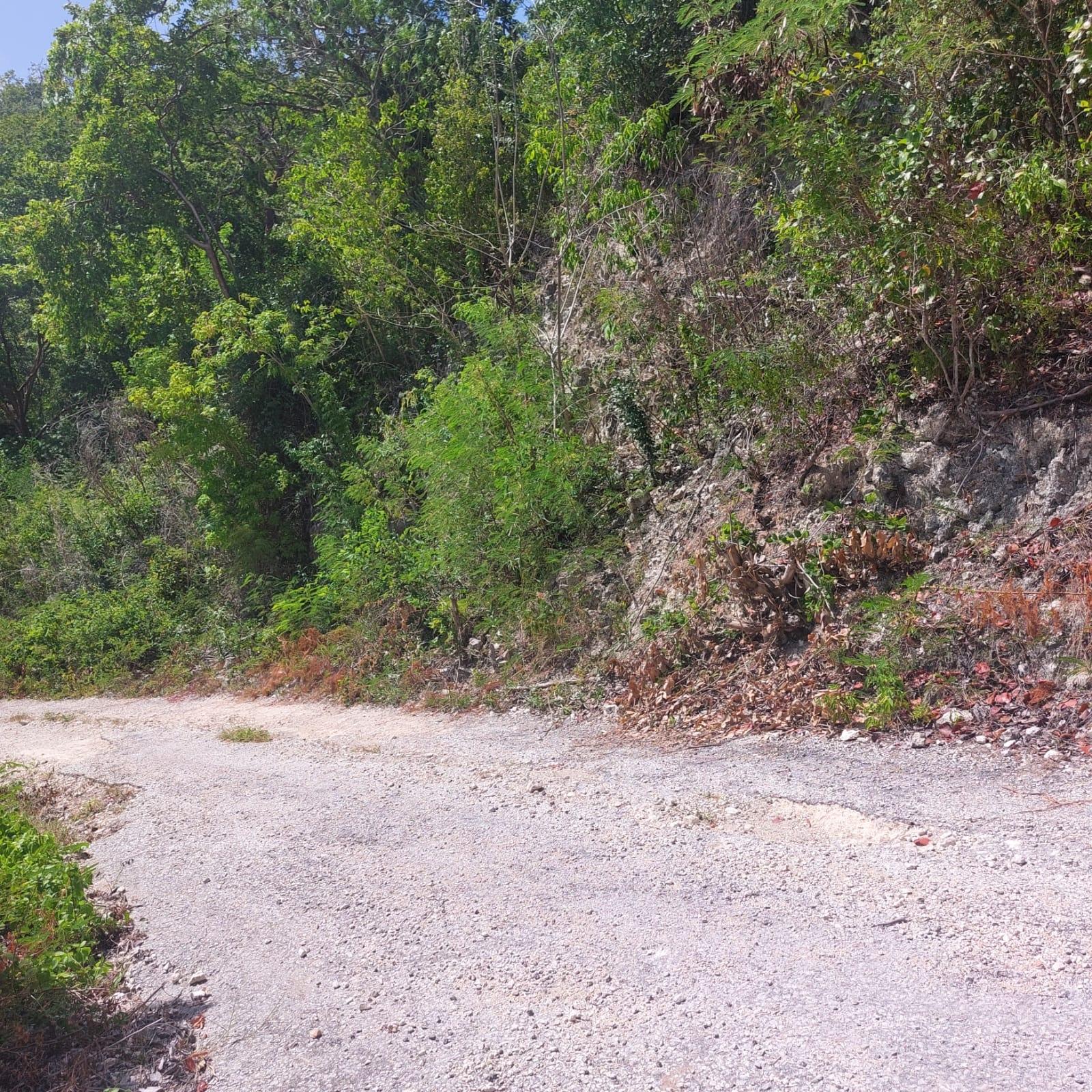 Tenth image of 91- Santa Cruz Boulevard, st in Albion Estate, St. Thomas, Jamaica - property is For Sale