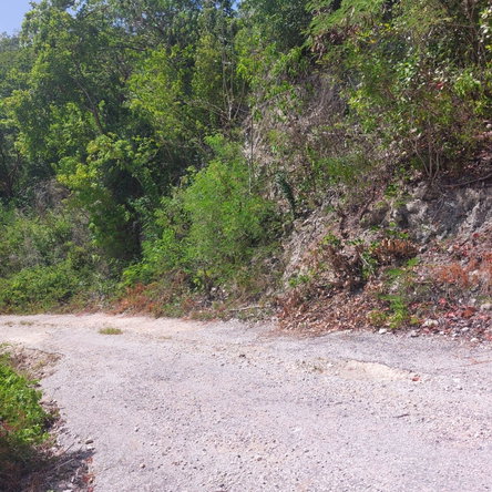 Tenth image of 91- Santa Cruz Boulevard, st in Albion Estate, St. Thomas, Jamaica - property is For Sale
