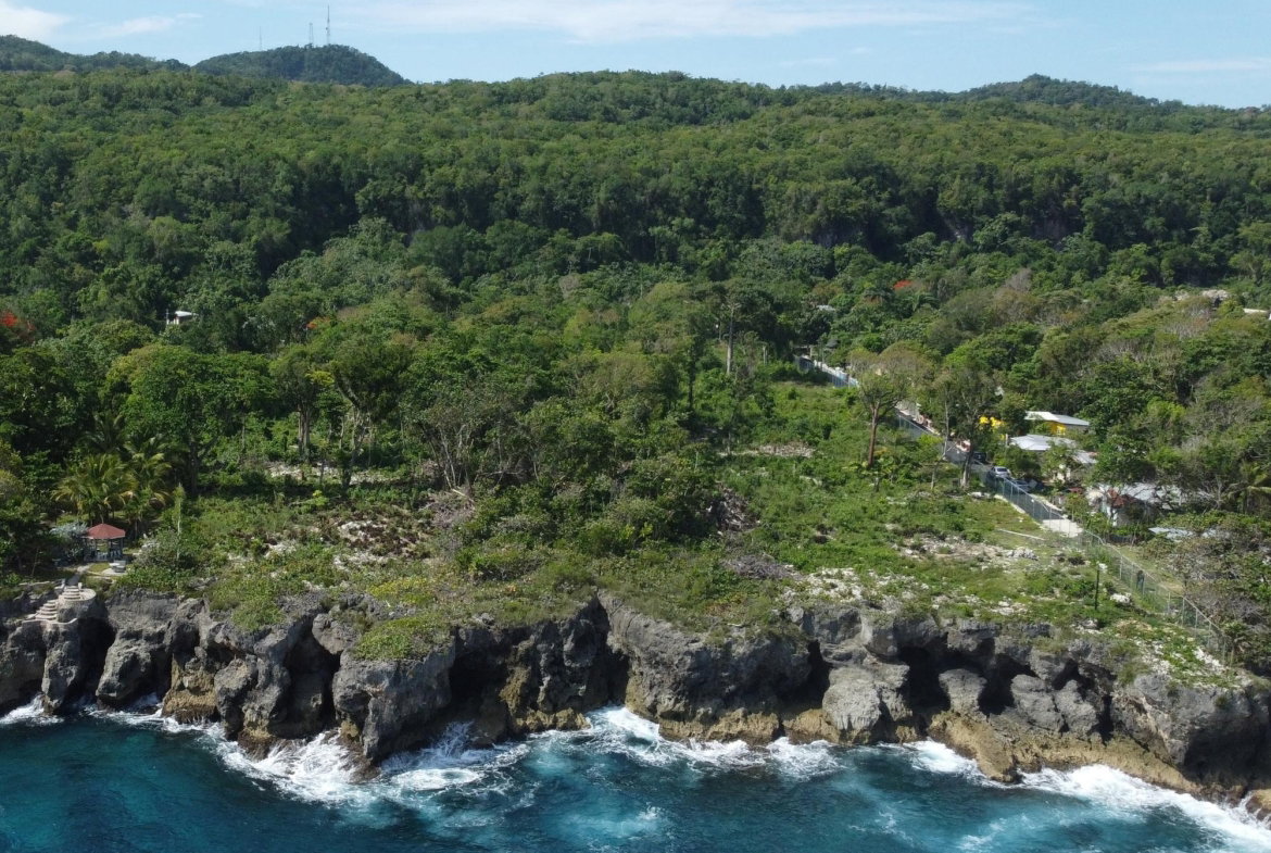 Seventh image of Liberty Castle, Race Cour in Oracabessa, St. Mary, Jamaica - property is For Sale