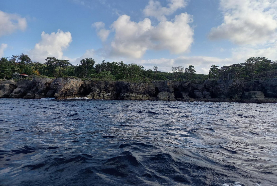 Eighth image of Liberty Castle, Race Cour in Oracabessa, St. Mary, Jamaica - property is For Sale