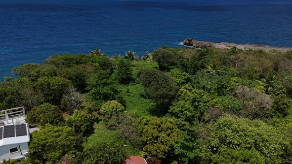 Eleventh image of 8b Strawberry Fields in Robins Bay, St. Mary, Jamaica - property is For Sale