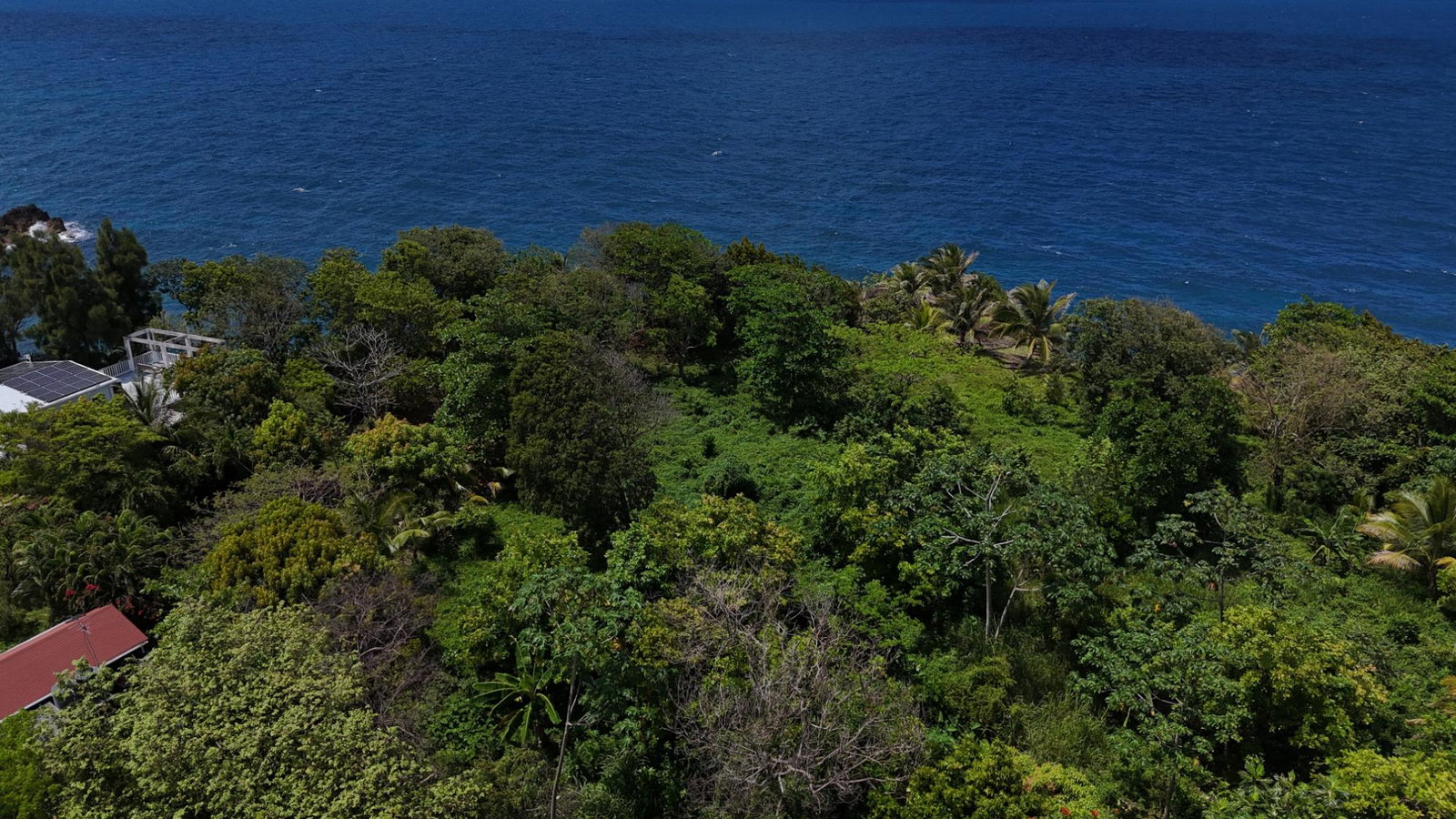 Oceanfront-Residential-Lot-for-Sale-in-Strawberry-Fields-Robins-Bay-St.-Mary-Jamaica Twelfth image of 8b Strawberry Fields in Robins Bay, St. Mary, Jamaica - property is For Sale