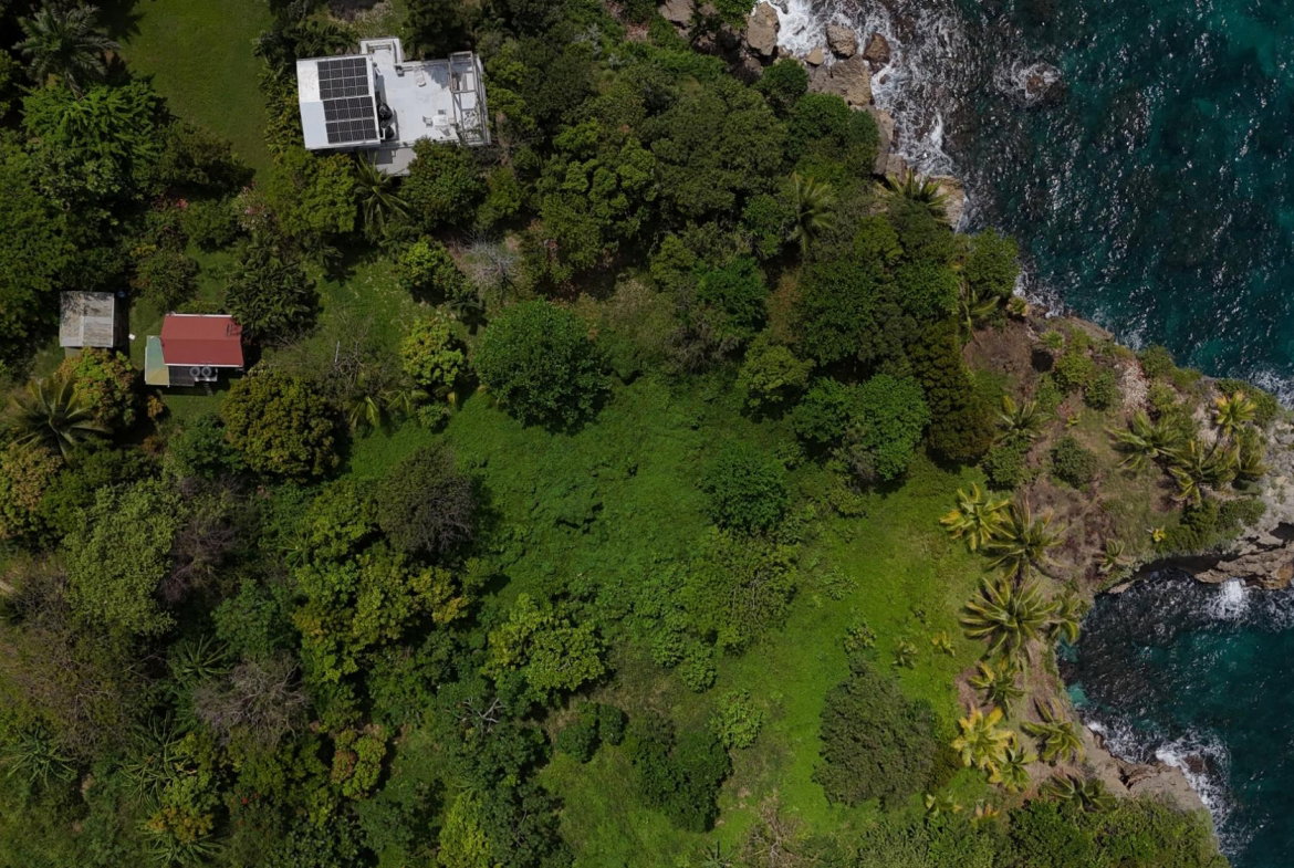 Thirteenth image of 8b Strawberry Fields in Robins Bay, St. Mary, Jamaica - property is For Sale