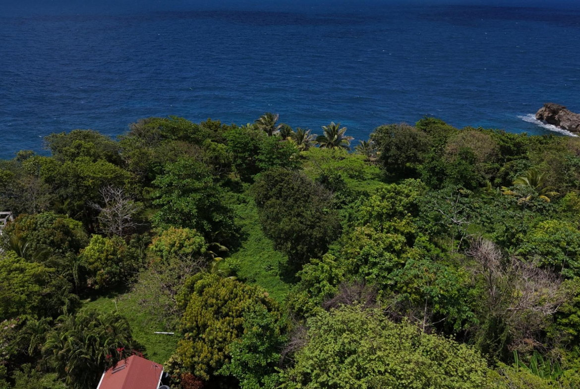 Third image of 8b Strawberry Fields in Robins Bay, St. Mary, Jamaica - property is For Sale