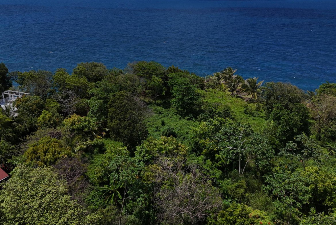 Fifth image of 8b Strawberry Fields in Robins Bay, St. Mary, Jamaica - property is For Sale