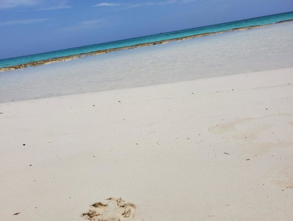Thirteenth image of 332 Ridge Way, Silver Sands in SILVER SANDS, Trelawny, Jamaica - property is For Sale