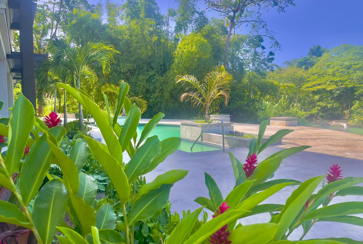 Fifth image of 15- Bessa, Gibraltar Estate in Oracabessa, St. Mary, Jamaica - property is For Sale