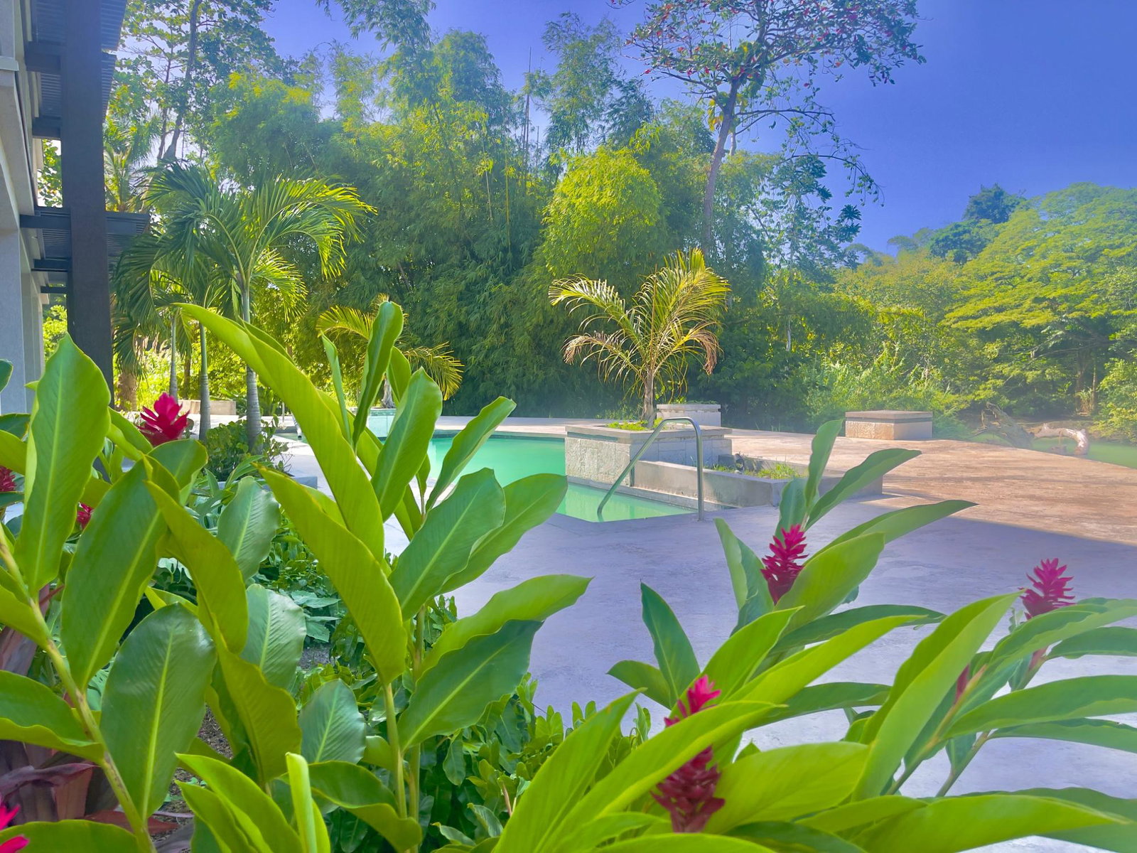 Fifth image of 15- Bessa, Gibraltar Estate in Oracabessa, St. Mary, Jamaica - property is For Sale