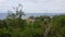 First image of Lot 3a Esher Haughton Court in Haughton Court, Hanover, Jamaica - property is For Sale