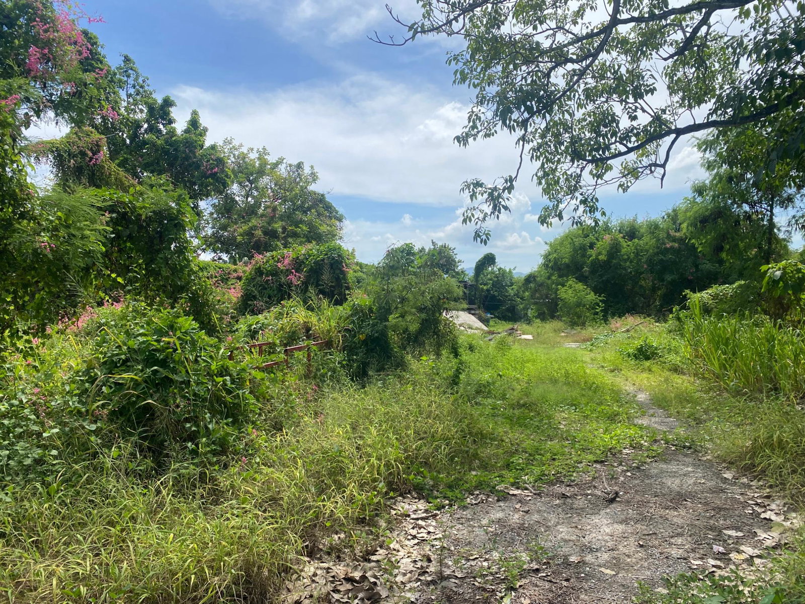 Seventh image of 139a Barbican Road in Kingston 8, St. Andrew, Jamaica - property is For Sale