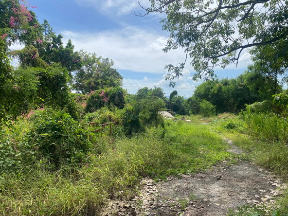 Seventh image of 139a Barbican Road in Kingston 8, St. Andrew, Jamaica - property is For Sale