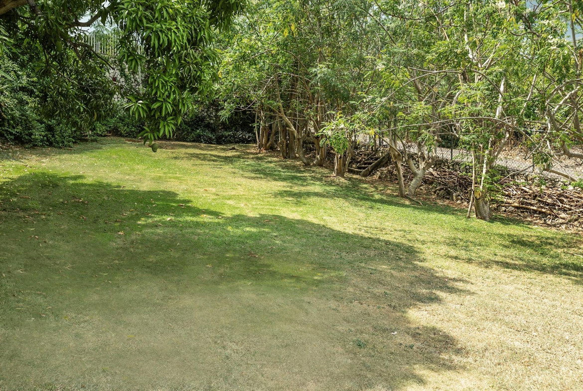 Twenty-First image of Forest Hill , Red Hills in Red Hills, St. Andrew, Jamaica - property is For Sale