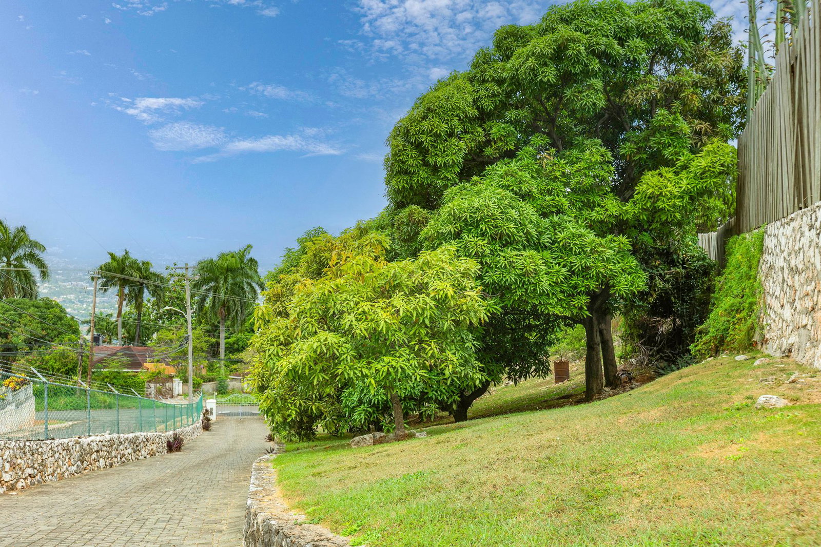 Fifth image of Forest Hill , Red Hills in Red Hills, St. Andrew, Jamaica - property is For Sale