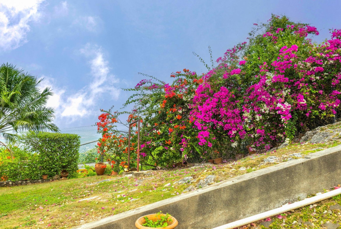 Eighth image of Forest Hill , Red Hills in Red Hills, St. Andrew, Jamaica - property is For Sale