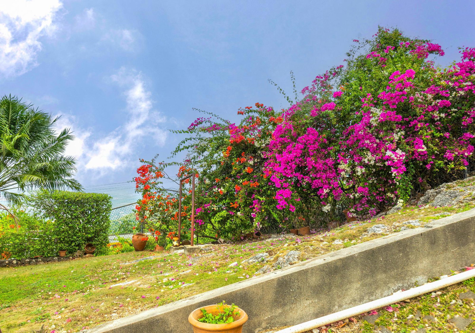 Eighth image of Forest Hill , Red Hills in Red Hills, St. Andrew, Jamaica - property is For Sale