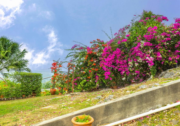 Eighth image of Forest Hill , Red Hills in Red Hills, St. Andrew, Jamaica - property is For Sale