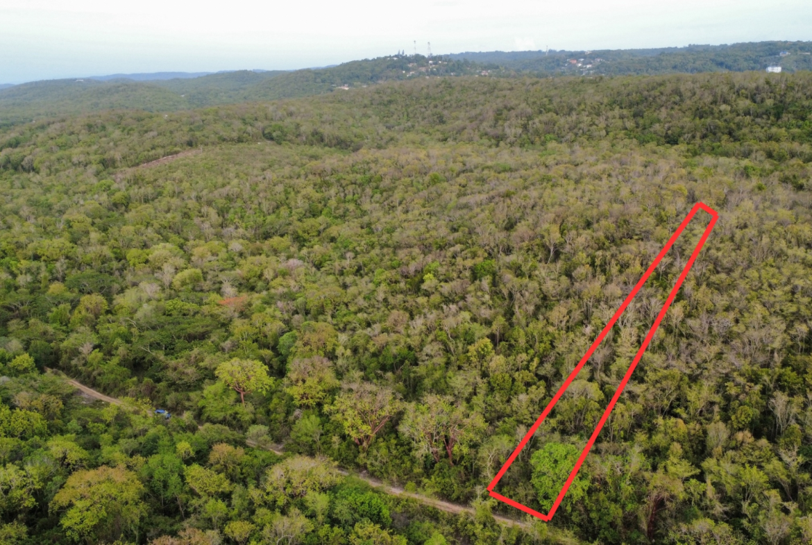 Second image of Clermont, Duncan's Bay in Duncans, Trelawny, Jamaica - property is For Sale