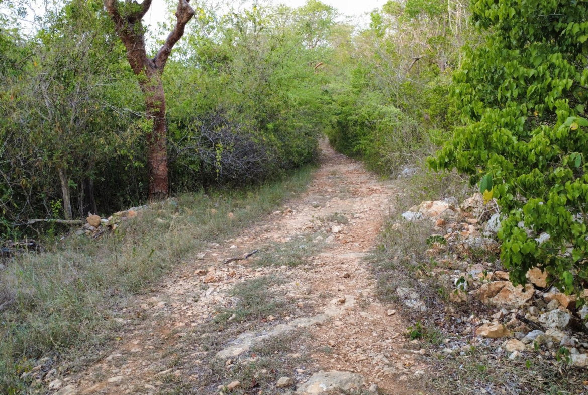 Fifth image of Clermont, Duncan's Bay in Duncans, Trelawny, Jamaica - property is For Sale
