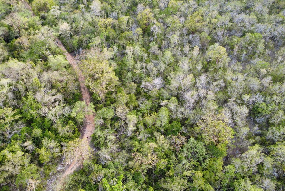Sixth image of Clermont, Duncan's Bay in Duncans, Trelawny, Jamaica - property is For Sale