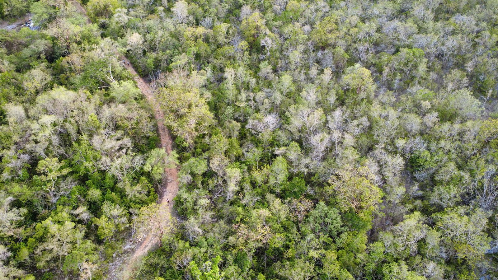 Sixth image of Clermont, Duncan's Bay in Duncans, Trelawny, Jamaica - property is For Sale