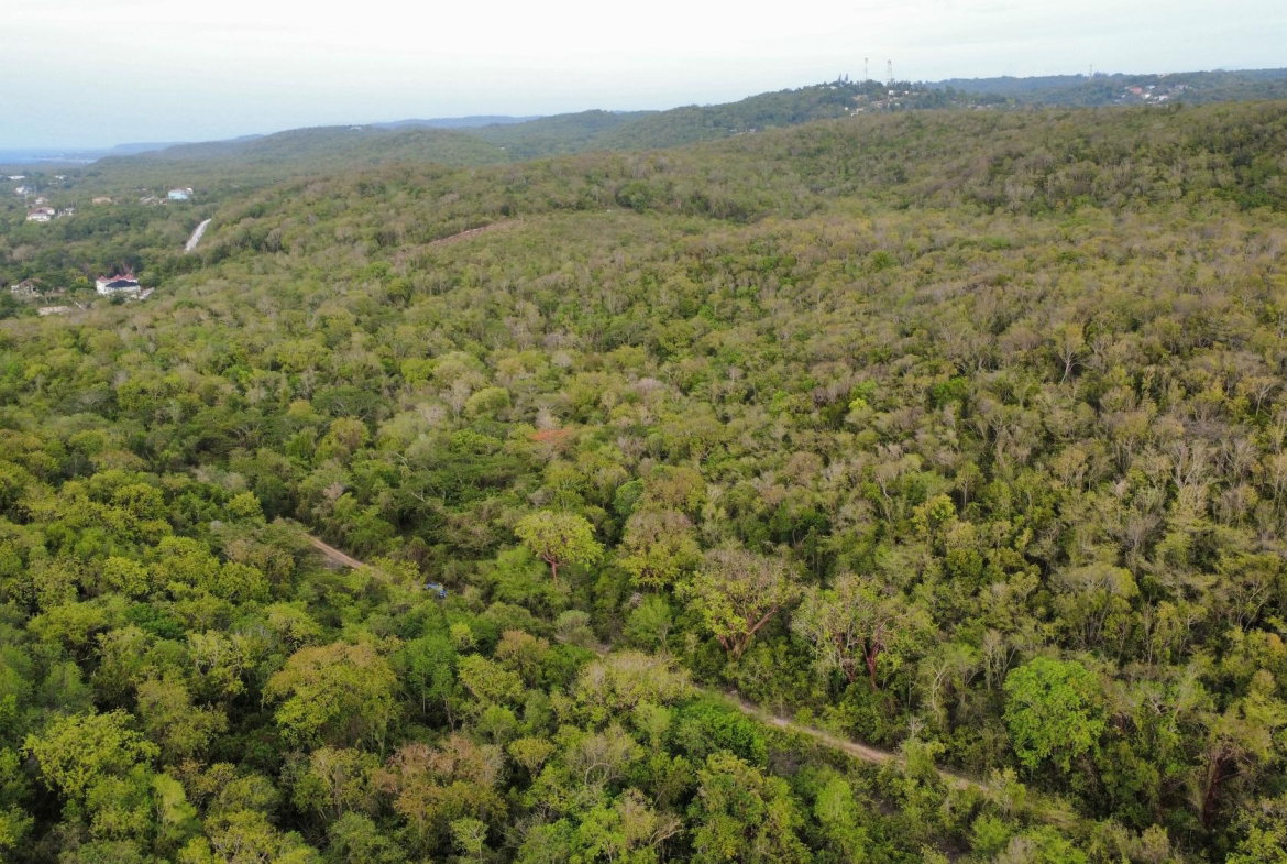 Seventh image of Clermont, Duncan's Bay in Duncans, Trelawny, Jamaica - property is For Sale