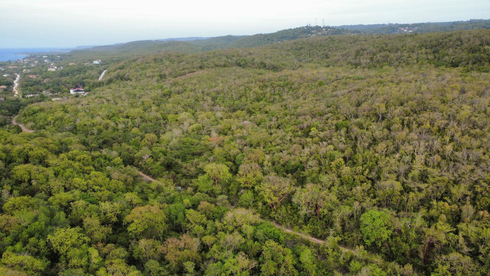 Seventh image of Clermont, Duncan's Bay in Duncans, Trelawny, Jamaica - property is For Sale