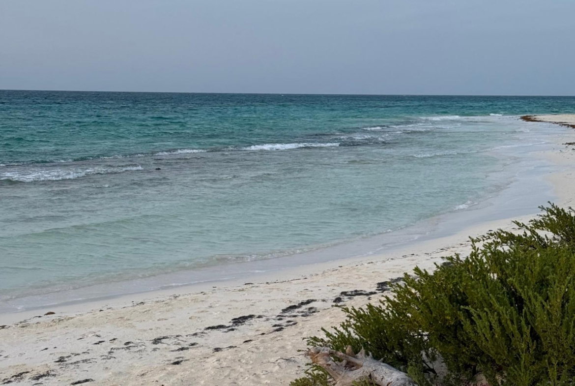 Ninth image of Clermont, Duncan's Bay in Duncans, Trelawny, Jamaica - property is For Sale