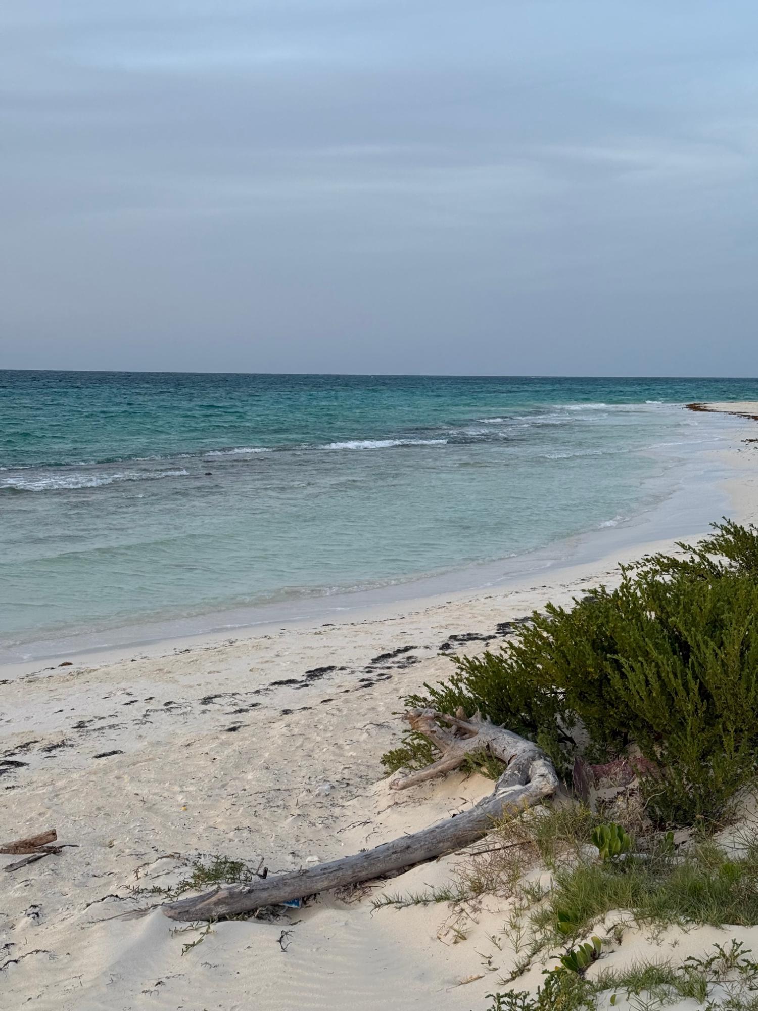 Ninth image of Clermont, Duncan's Bay in Duncans, Trelawny, Jamaica - property is For Sale