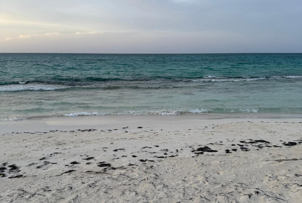 Tenth image of Clermont, Duncan's Bay in Duncans, Trelawny, Jamaica - property is For Sale