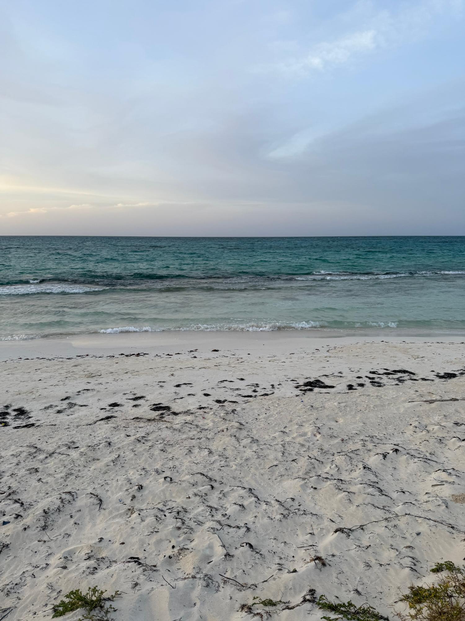 Tenth image of Clermont, Duncan's Bay in Duncans, Trelawny, Jamaica - property is For Sale