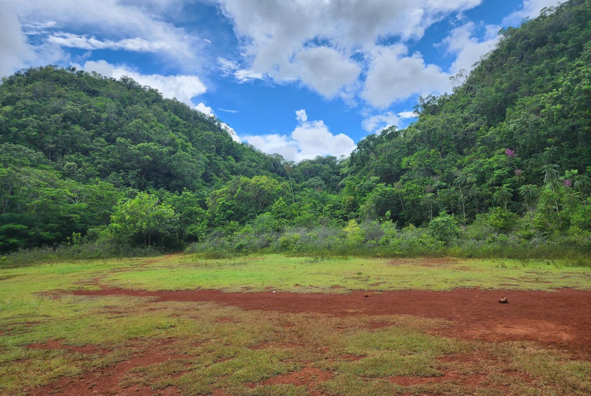 Third image of Canoe Valley Ashley's in Chapleton, Clarendon, Jamaica - property is For Sale