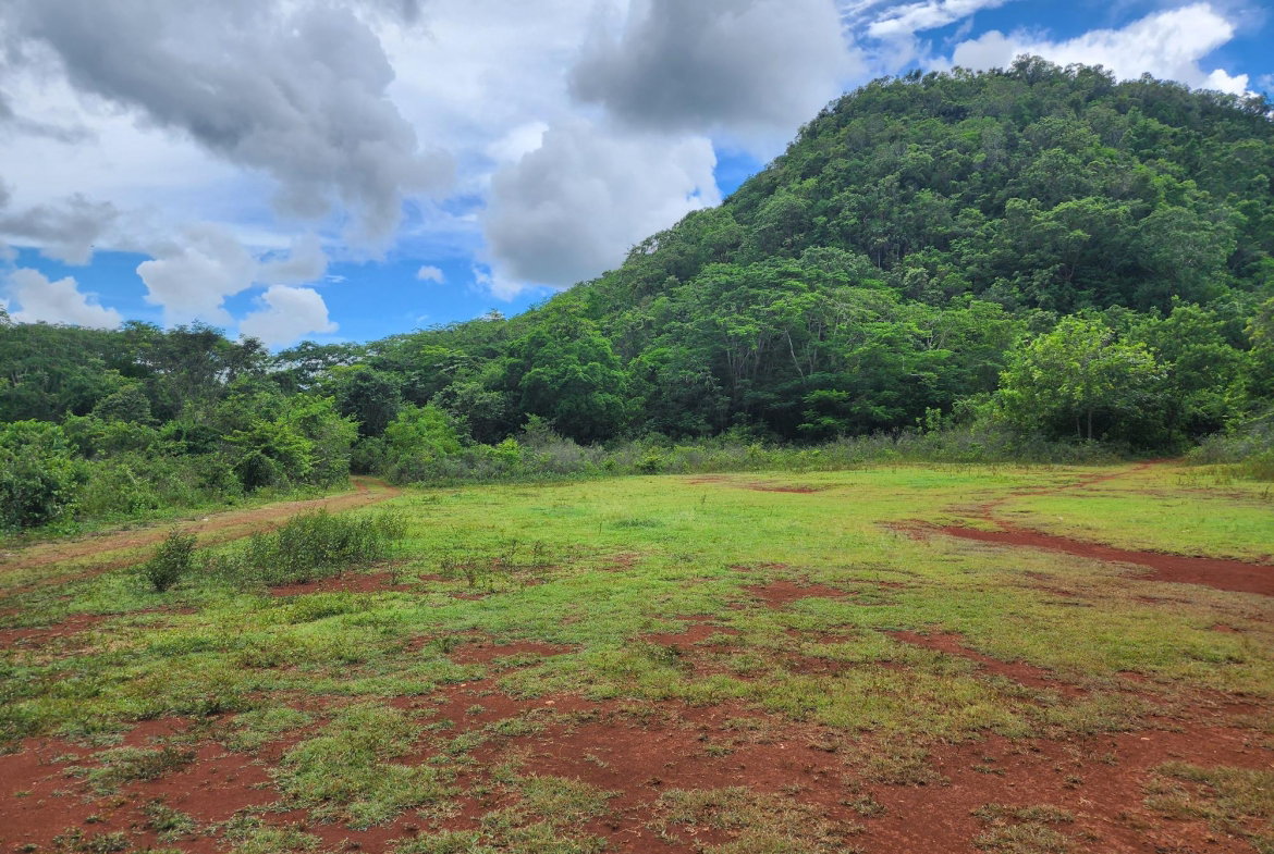Fourth image of Canoe Valley Ashley's in Chapleton, Clarendon, Jamaica - property is For Sale