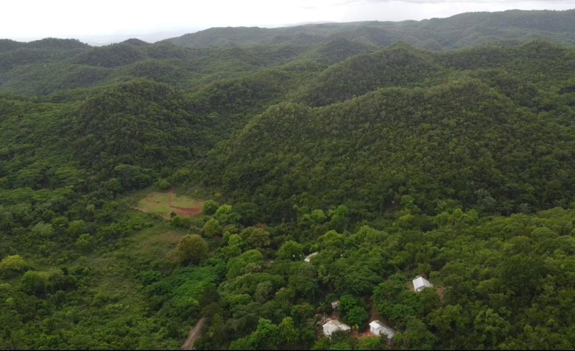 Fifth image of Canoe Valley Ashley's in Chapleton, Clarendon, Jamaica - property is For Sale