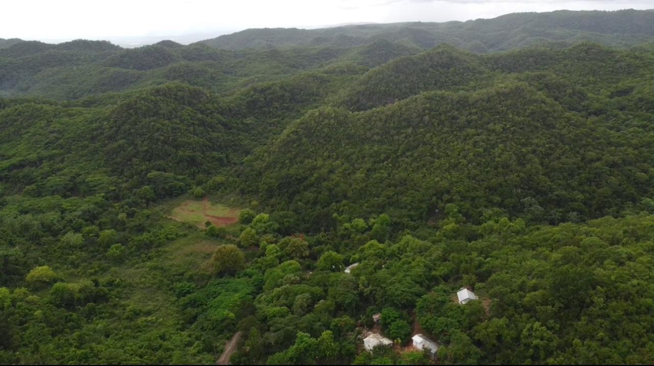 Fifth image of Canoe Valley Ashley's in Chapleton, Clarendon, Jamaica - property is For Sale