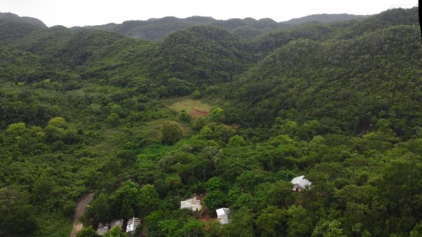 First image of Canoe Valley Ashley's in Chapleton, Clarendon, Jamaica - property is For Sale