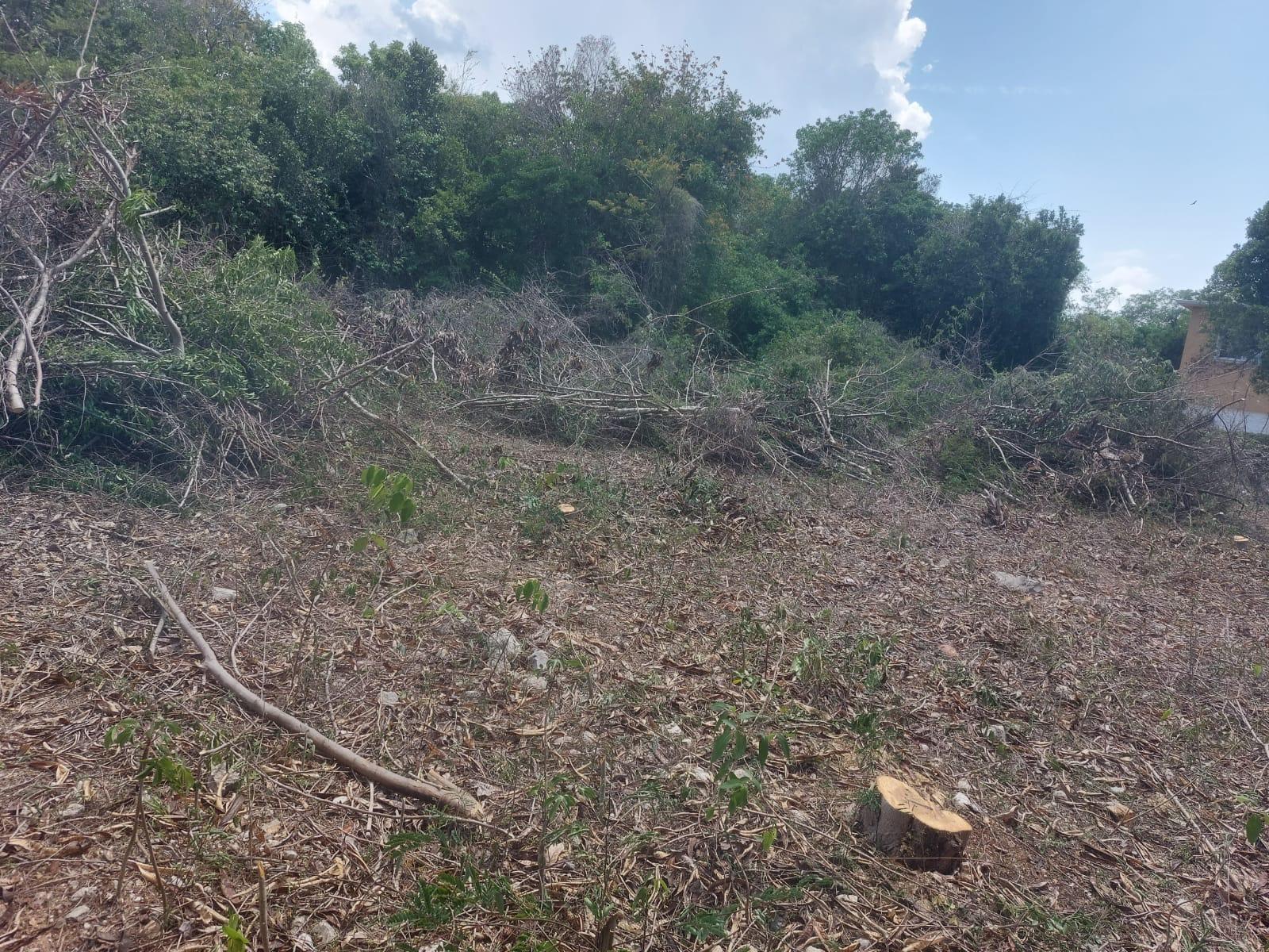 Second image of 85 Flamingo Beach in Salt Marsh, Trelawny, Jamaica - property is For Sale