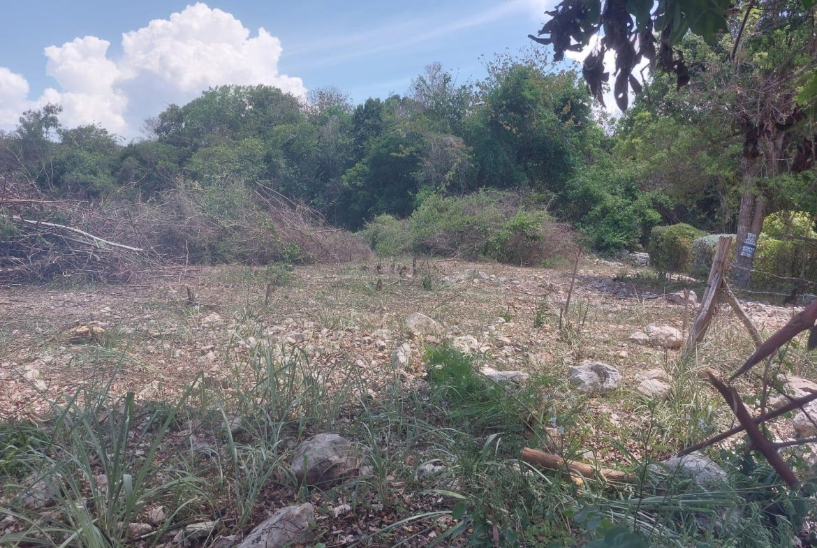 First image of 85 Flamingo Beach in Salt Marsh, Trelawny, Jamaica - property is For Sale