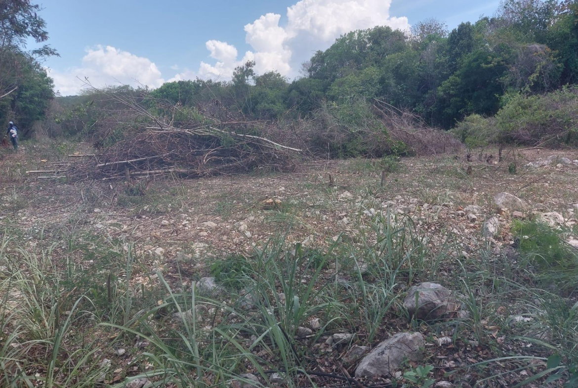 Third image of 85 Flamingo Beach in Salt Marsh, Trelawny, Jamaica - property is For Sale