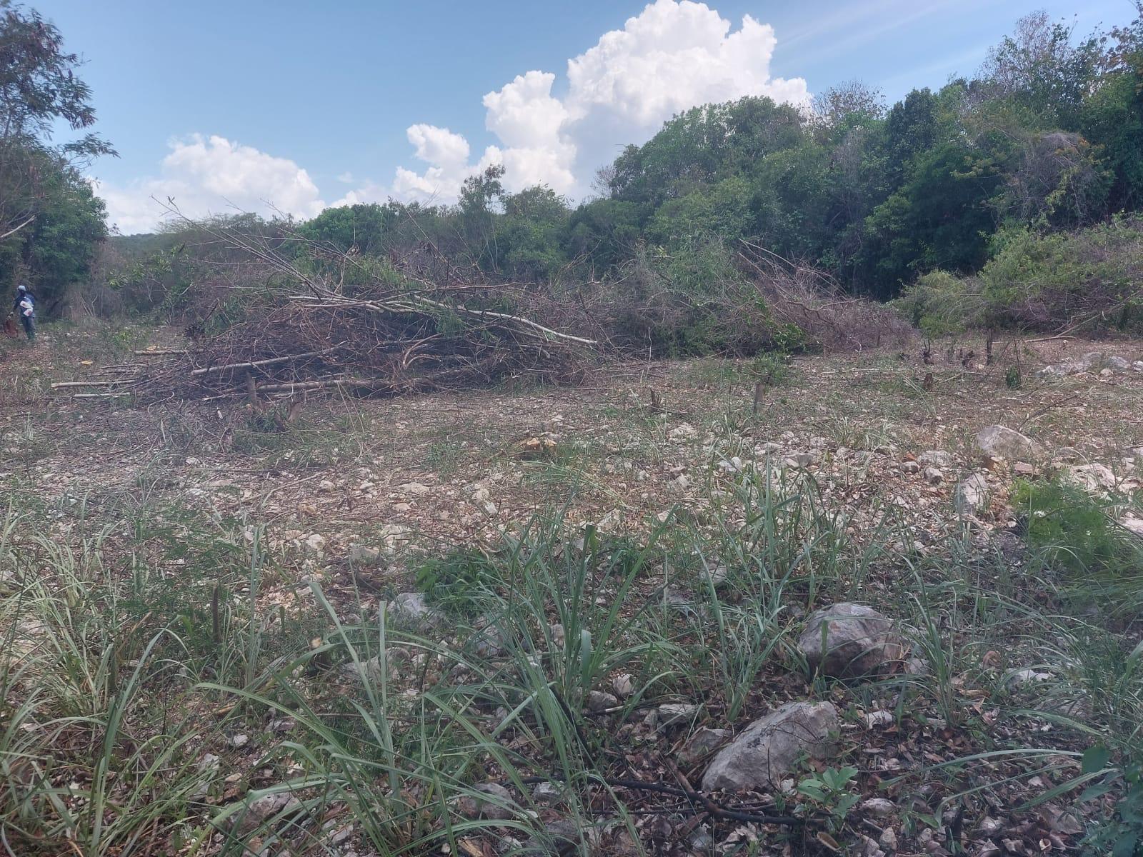 Third image of 85 Flamingo Beach in Salt Marsh, Trelawny, Jamaica - property is For Sale