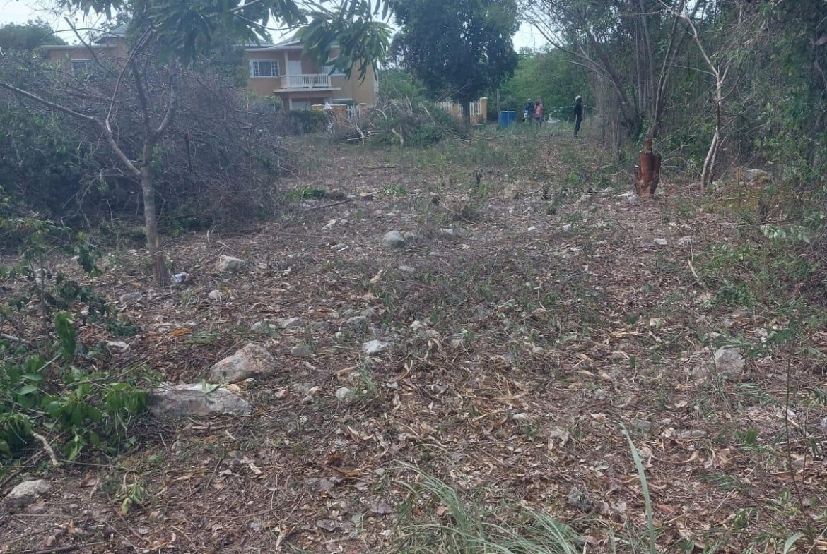 Fourth image of 85 Flamingo Beach in Salt Marsh, Trelawny, Jamaica - property is For Sale