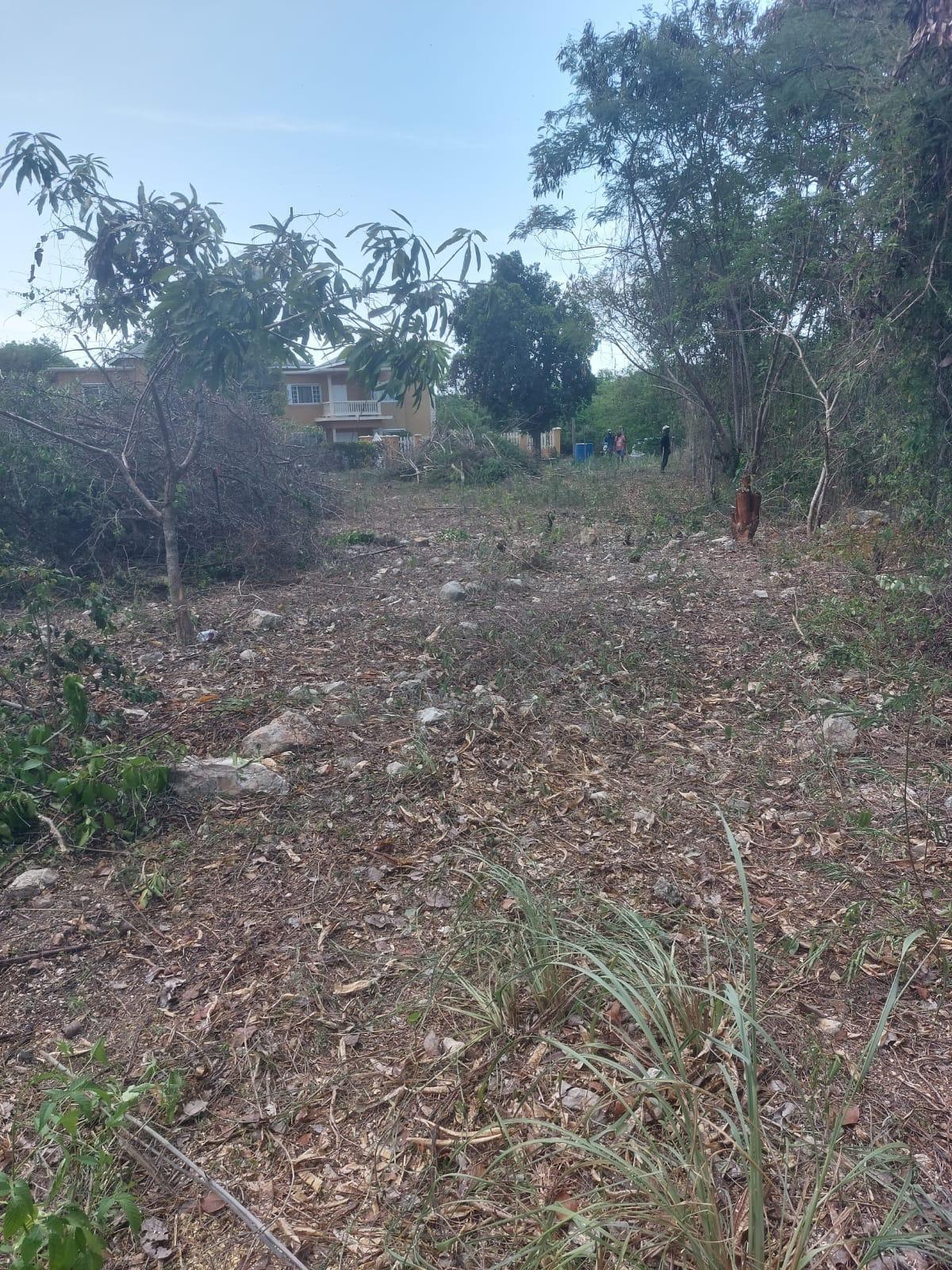 Fourth image of 85 Flamingo Beach in Salt Marsh, Trelawny, Jamaica - property is For Sale