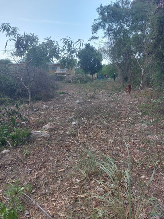 Fourth image of 85 Flamingo Beach in Salt Marsh, Trelawny, Jamaica - property is For Sale