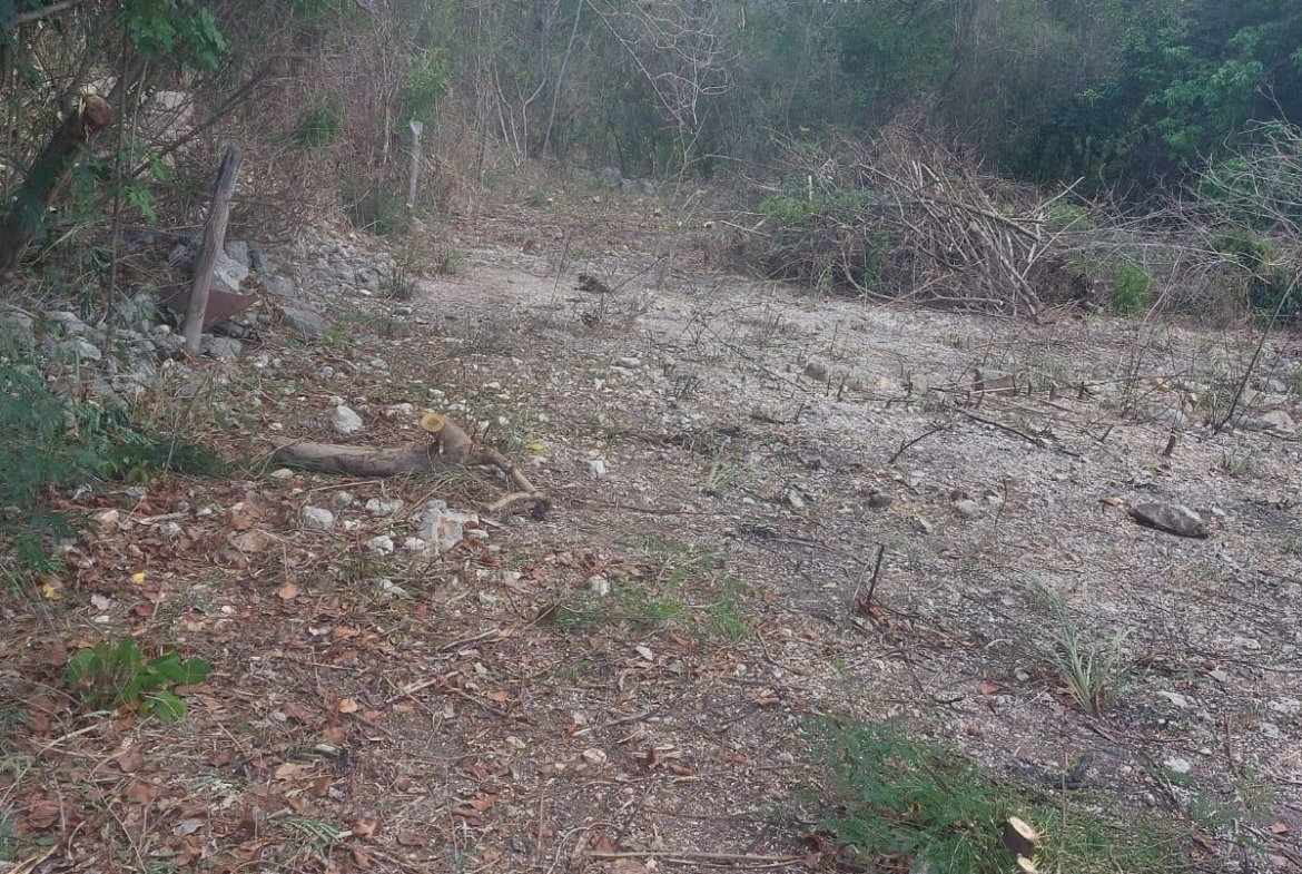 Fifth image of 85 Flamingo Beach in Salt Marsh, Trelawny, Jamaica - property is For Sale